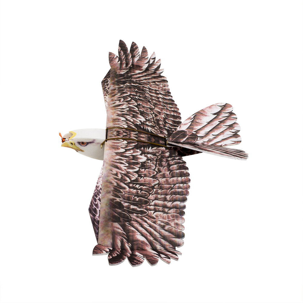 Rc Hobby Experts - เครื่องบินบังคับวิทยุ DW Hobby Eagle II EPP